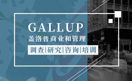 Gallup盖洛普怎么样