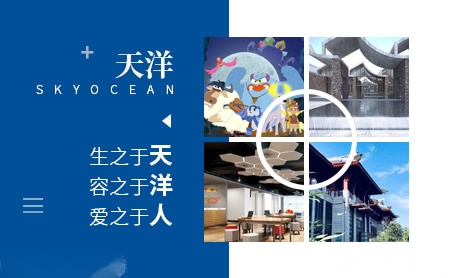 天洋SkyOcean怎么样