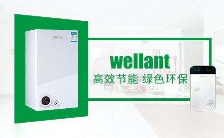 瑞能wellant怎么样