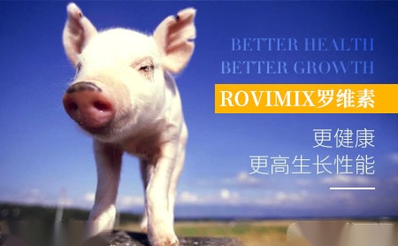 Rovimix罗维素怎么样