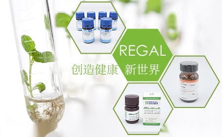 如吉REGAL怎么样