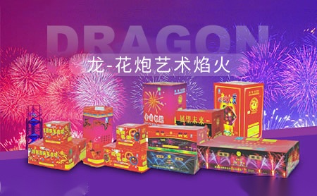 龙Dragon怎么样