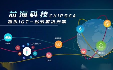 芯海科技CHIPSEA怎么样