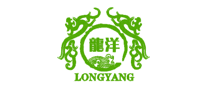 龙洋LONGYANG是哪个国家的品牌