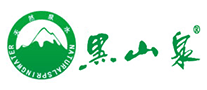 百思特BEST是哪个国家的品牌