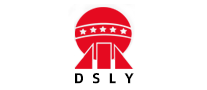 DSLY是哪个国家的品牌