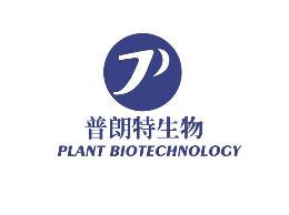 普朗特是哪个国家的品牌
