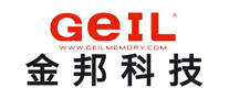 内存条行业排行榜第2名 | 金邦科技GEIL