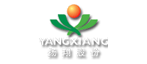 扬翔YANGXIANG是哪个国家的品牌